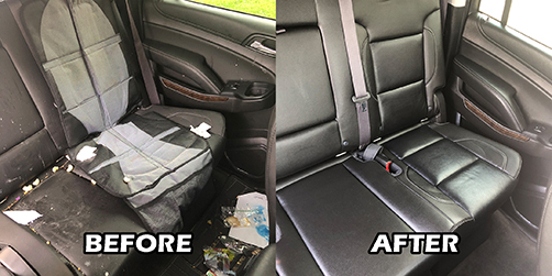 Before: dirty, debris-filled leather backseat. After: clean, shiny and conditioned seats.